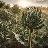 Green Globe Artichoke Growing In Field