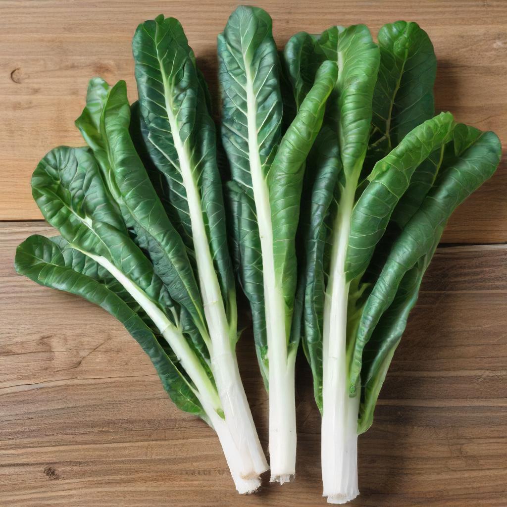 Lucullus Swiss Chard Harvest from Vegetable Garden 