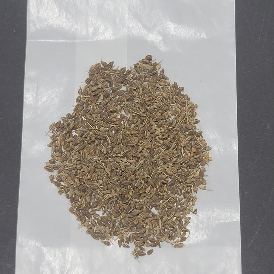 Anise Seeds