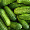 Cucumber Seeds - National Pickling