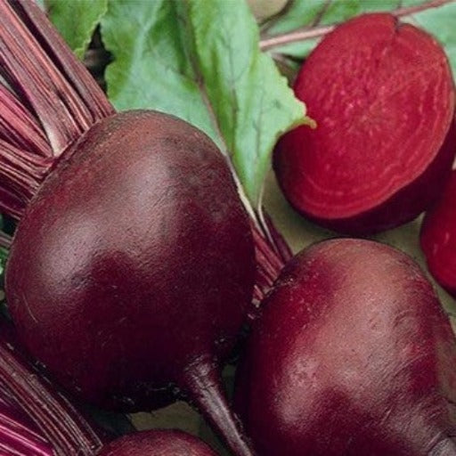 Detroit Dark Red Beets 