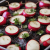 Radish Seeds – Cherry Belle Garden Seeds From Back Home Seed. Sliced Radish On A Baking Pan